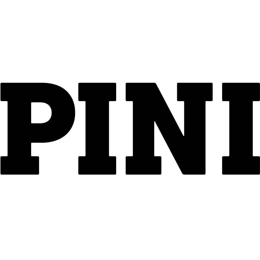 Pini Swiss Engineer