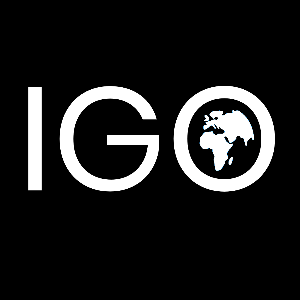 IGO sp. z o.o. Consulting Group