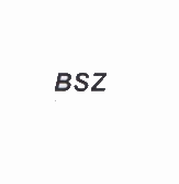 BSZ Produktionstechnik AG
