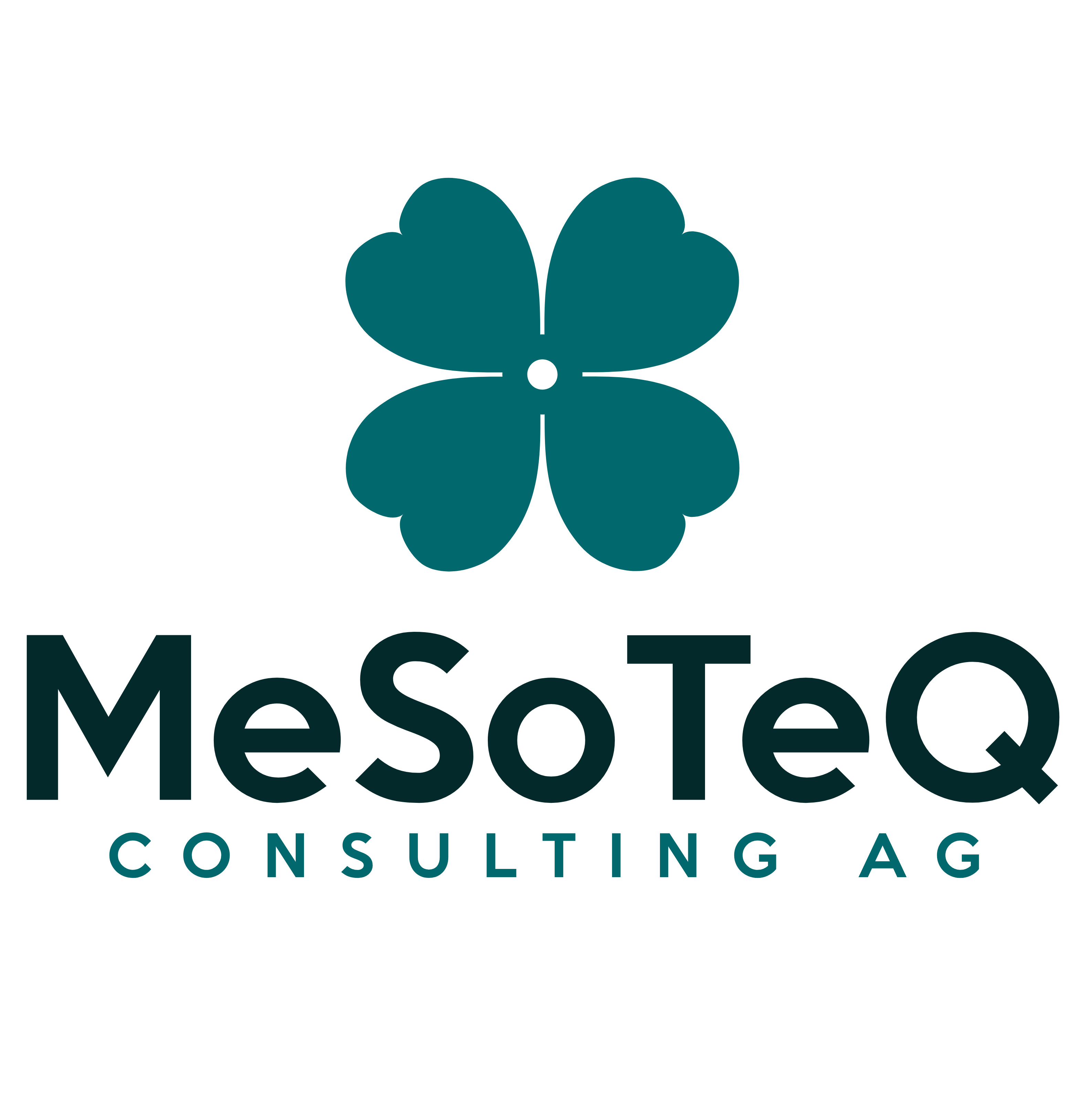 MesoTeQ Consulting AG