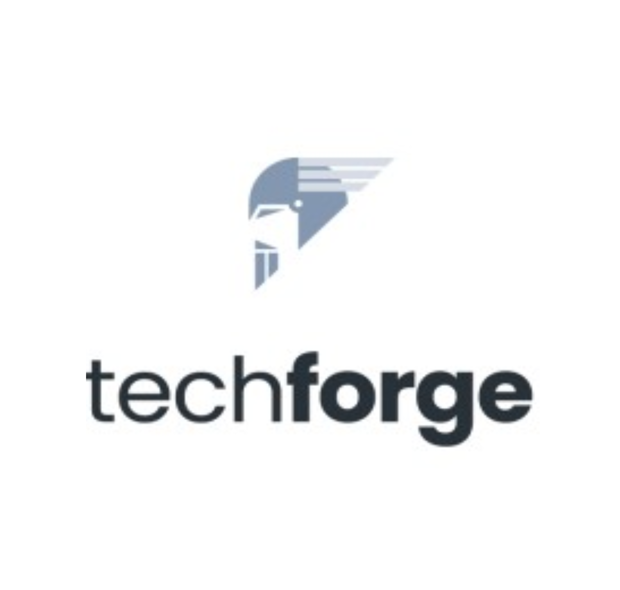 Techforge GmbH
