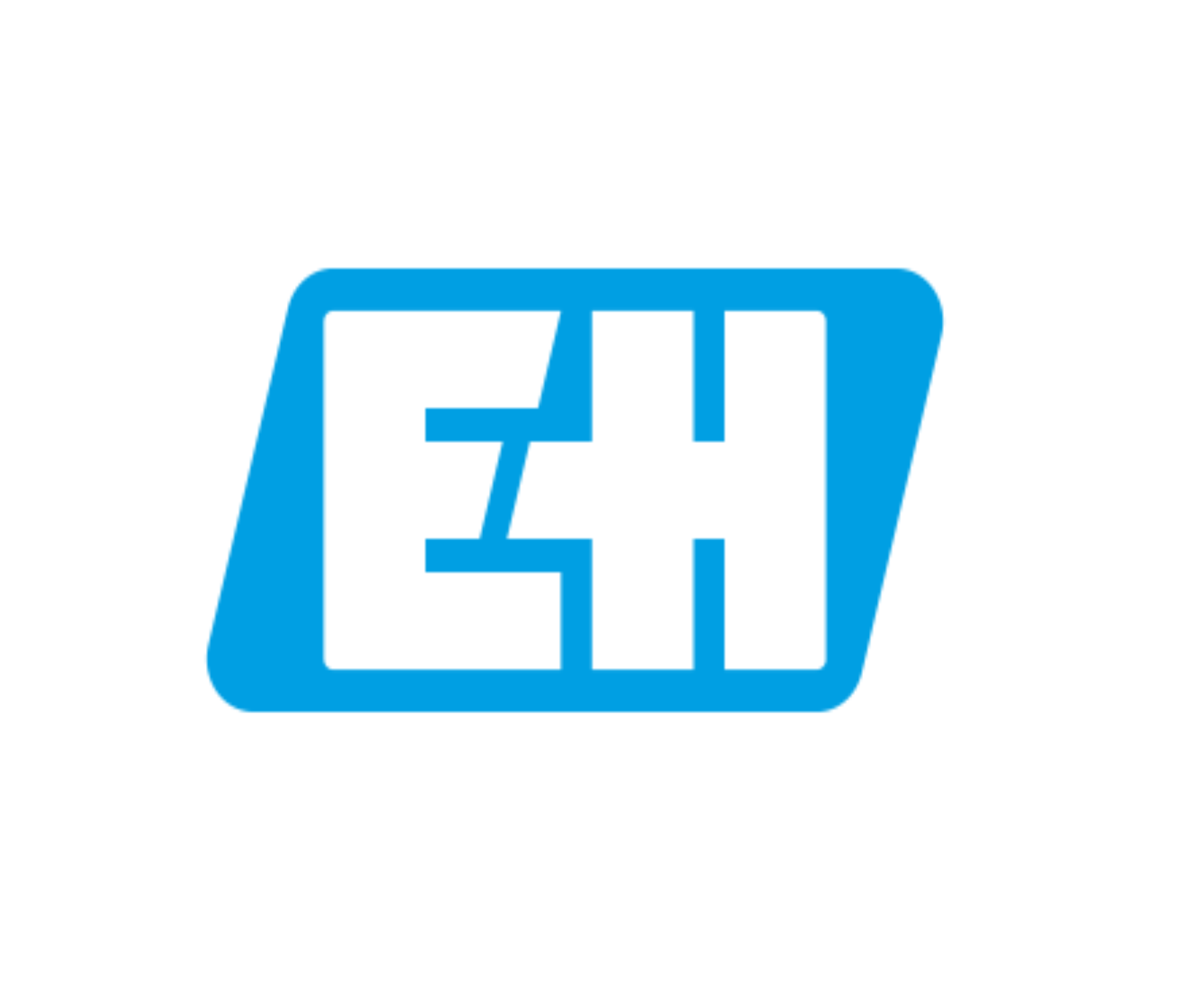 E+H Flowtwc AG