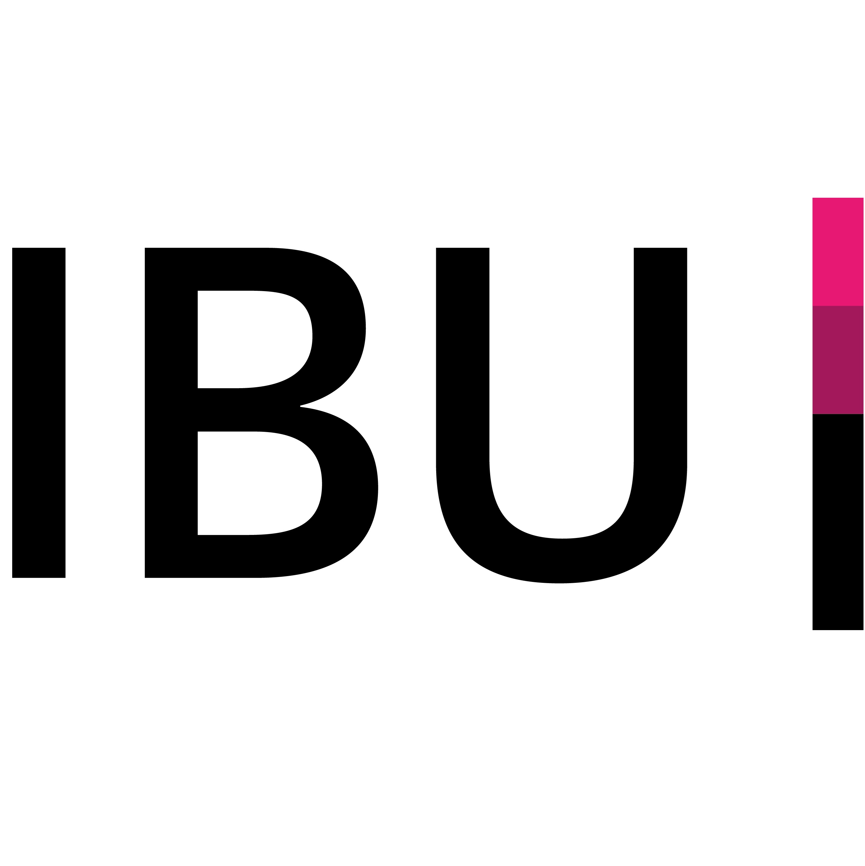 Institut für Bau und Umwelt Rapperswil IBU