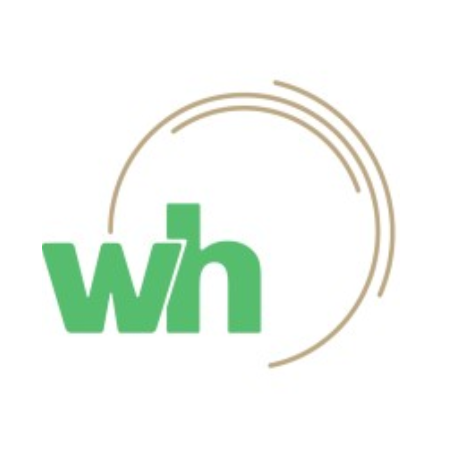 Wohlgensinger AG