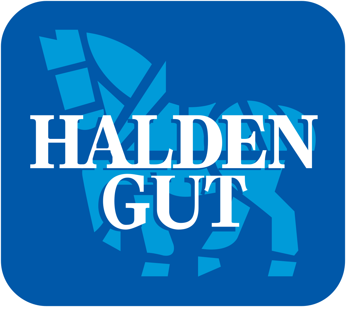 Brauerei Haldengut