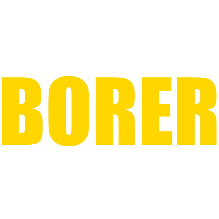 Fritz Borer Informatik GmbH