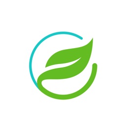Greeny+Mallorca SL