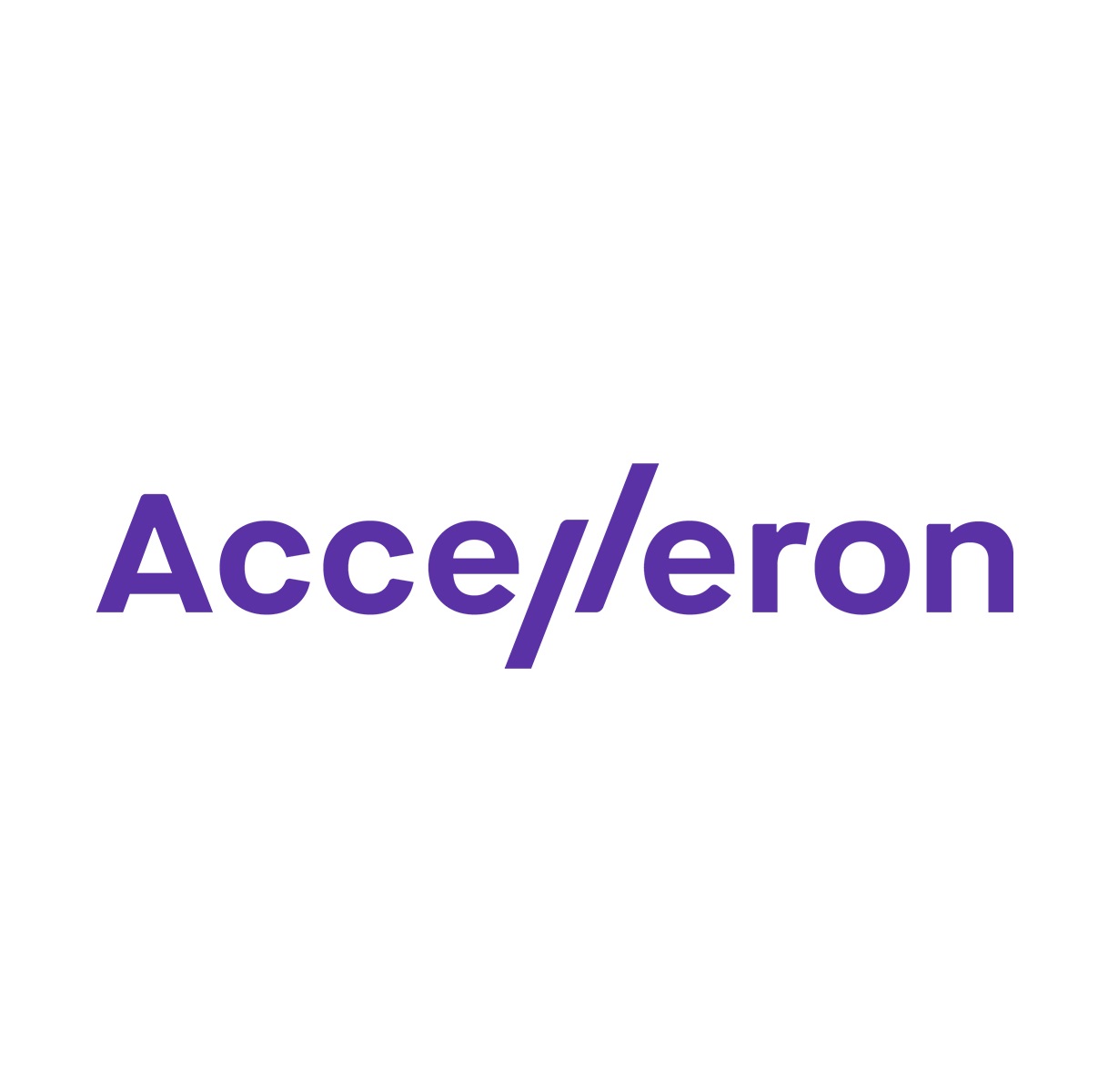 Accelleron Turbo Systems AG