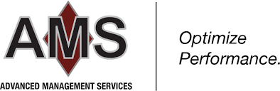 AMS Consulting GmbH