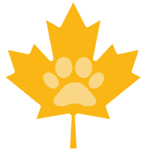 Wilderness Stewardship Foundation