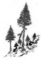 Forstrevier Dorneckberg Nord