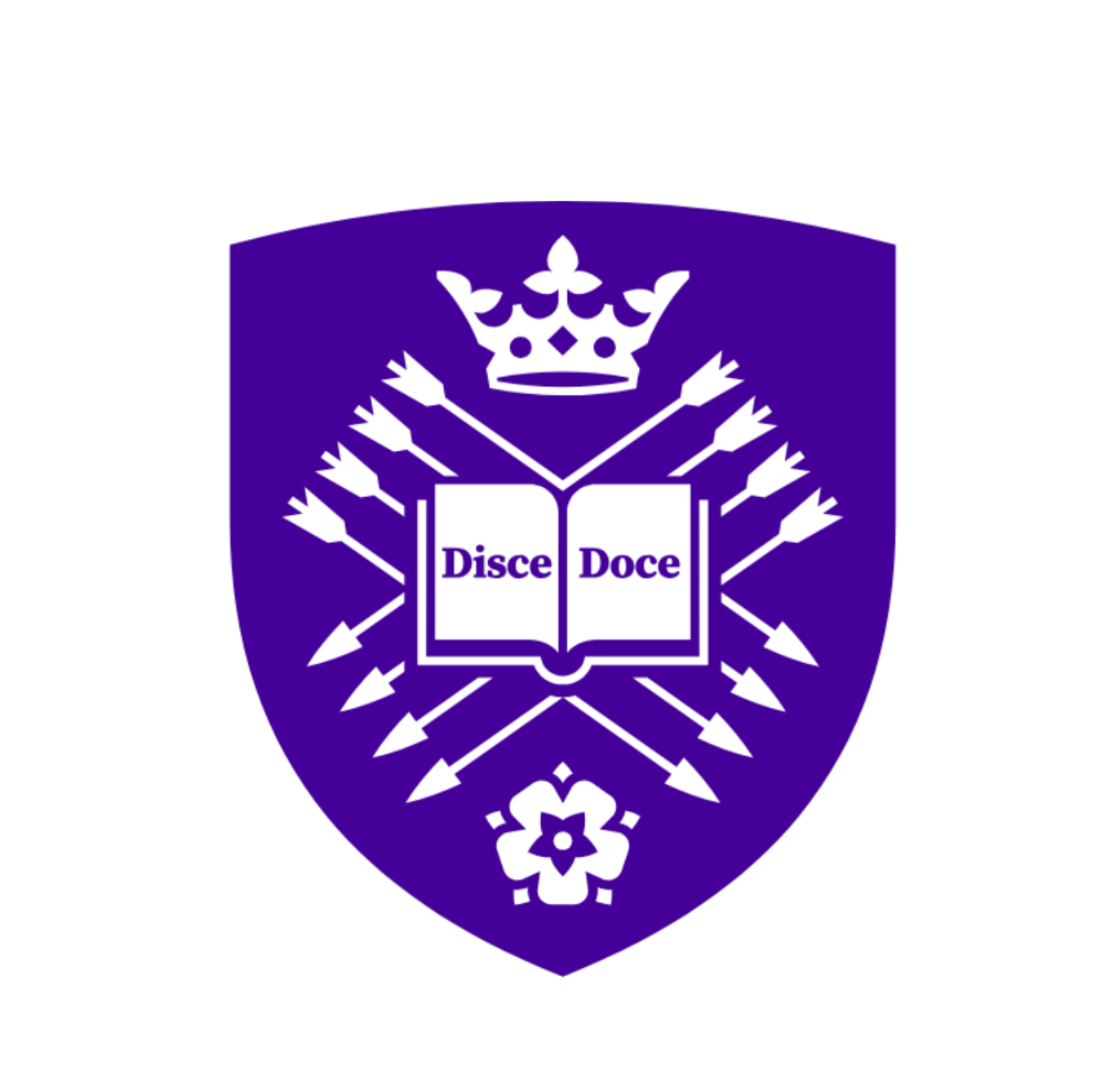 University of Sheffield