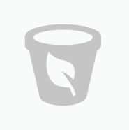Wapf Gartenbau GmbH