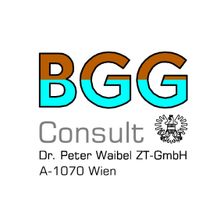 BGG Consult
