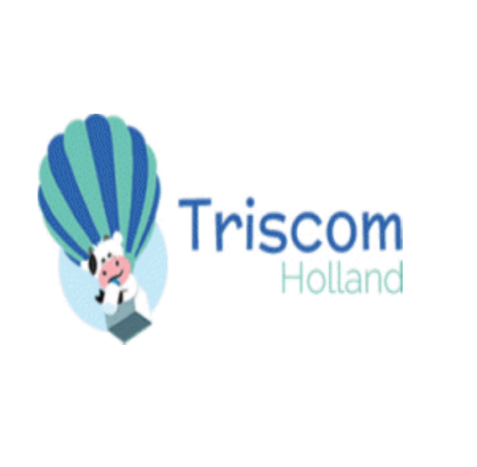 TrisCom Media AG