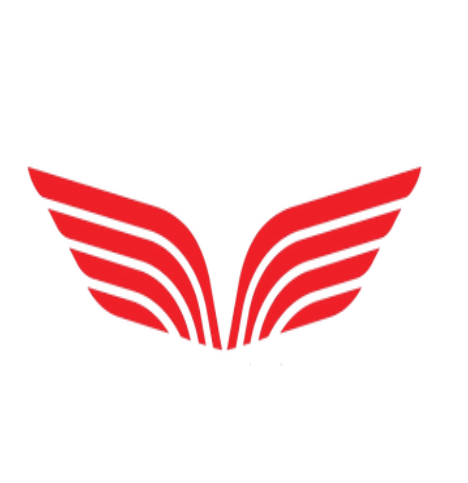 Mandic AG