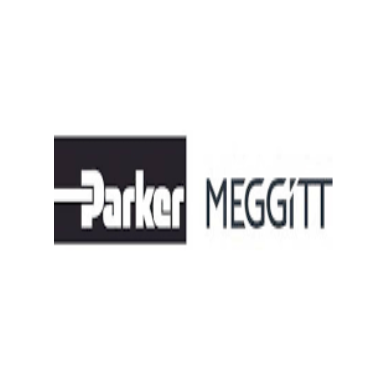 Parker Meggitt SA