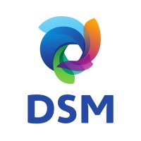 DSM Plastic