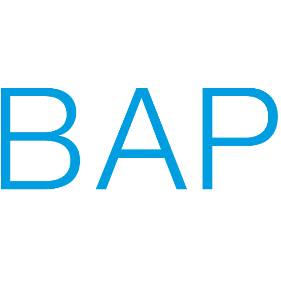 BrunnerAebiPartner
