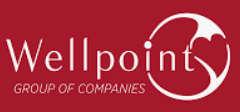 Wellpoint/POINTgroup GmbH