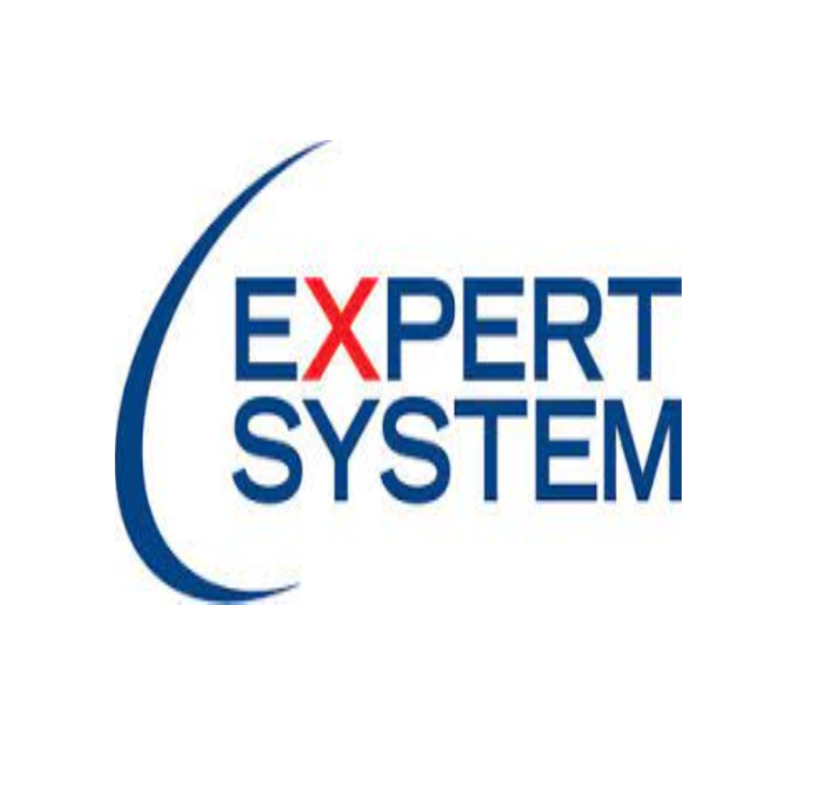 Expert System