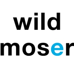 Wildmoser electronic
