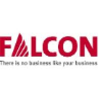 FAL-CON Audit
