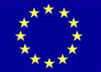 Delegation of the European Union to Russia