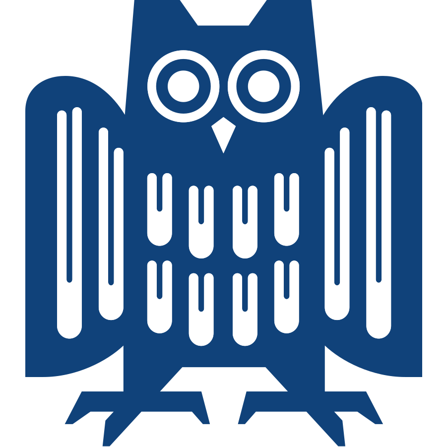 Saarland University
