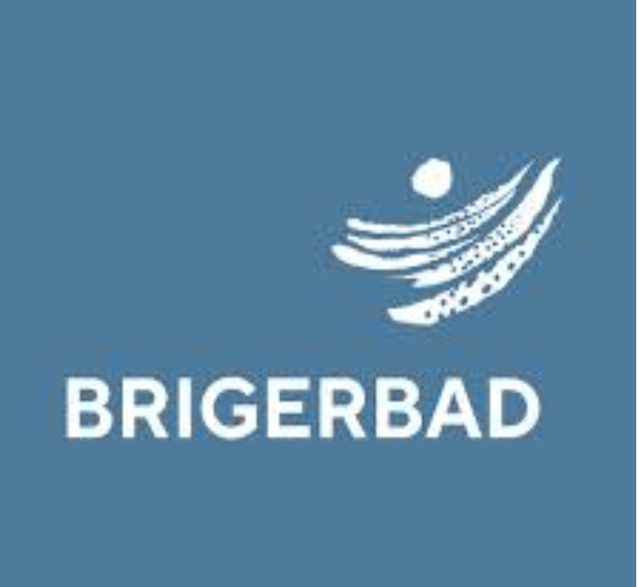 Camping Brigerbad