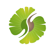 Pharmacie Ginkgo
