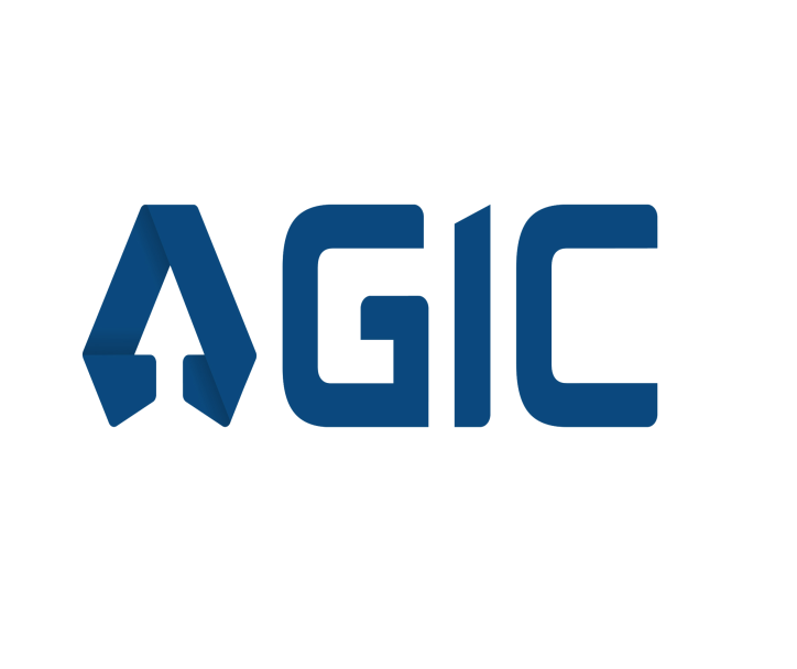 International Consultants & Management AG