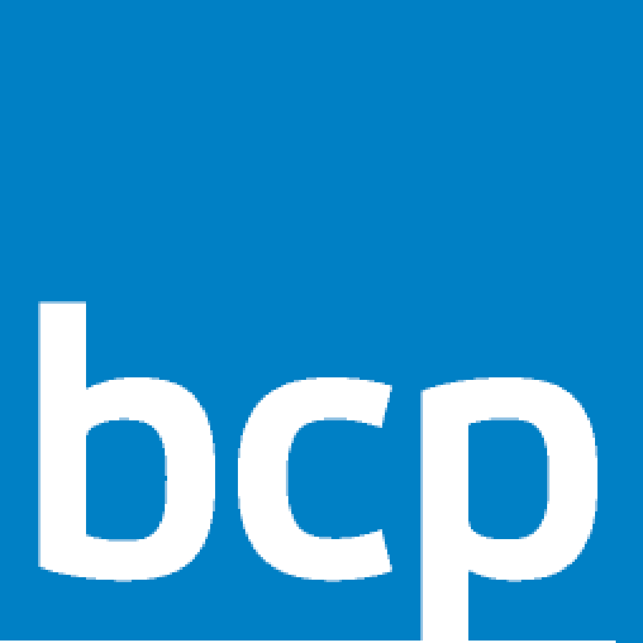 BCP Business Consulting Partner AG