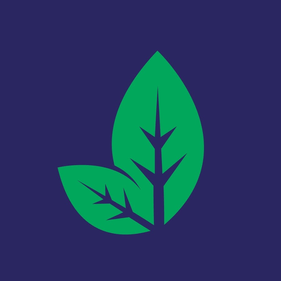 IPS-Ingredis International AG
