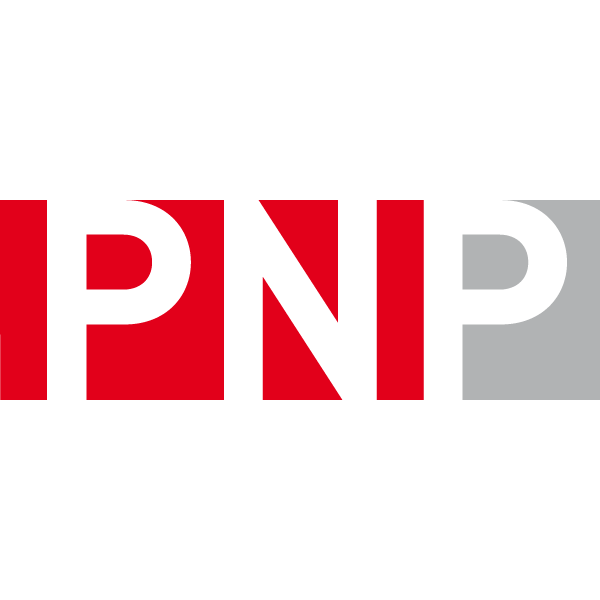 Pfirter, Nyfeler & Partner AG