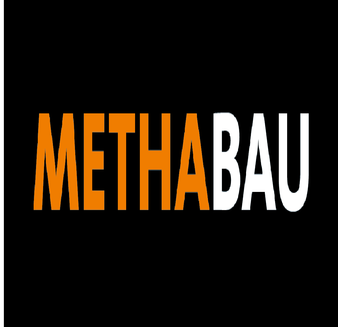 METHABAU & Manser Gruppe