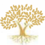 VIF Consult GmbH