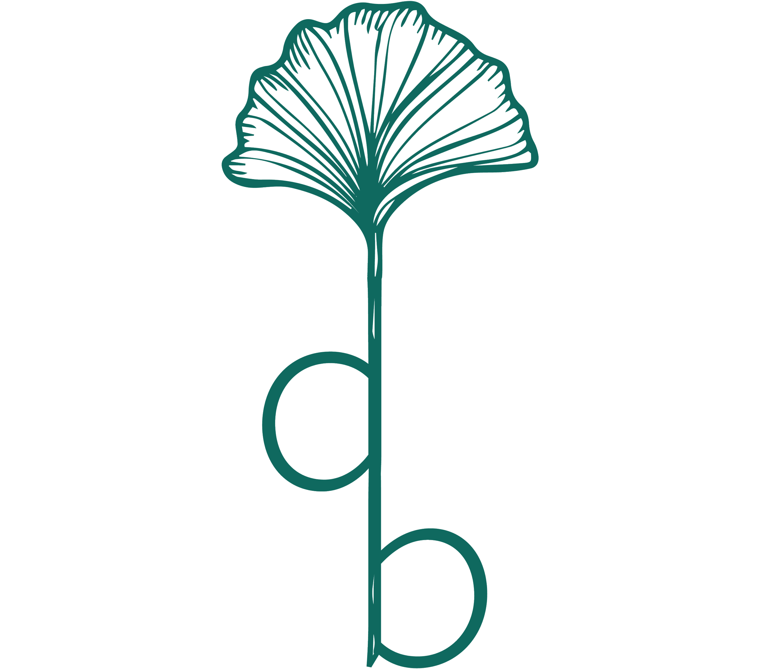 Decarbonista