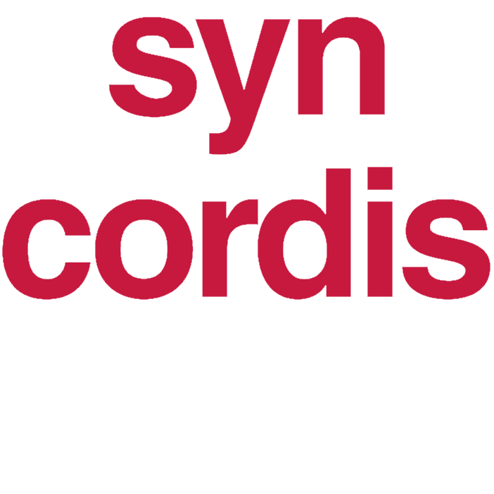 Syncordis (formerly Nielsen+Partner)