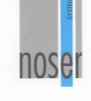 Noser Systeme AG