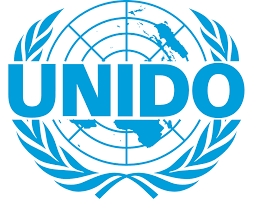 UNIDO Institute for Capacity Development