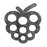 Whiteberry Smile GmbH