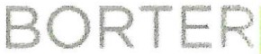 Borter Consulting
