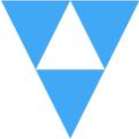 VANGUARD IT Consulting