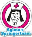 Sylvias Springerteam