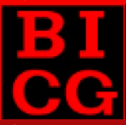 Bali International Consulting Group