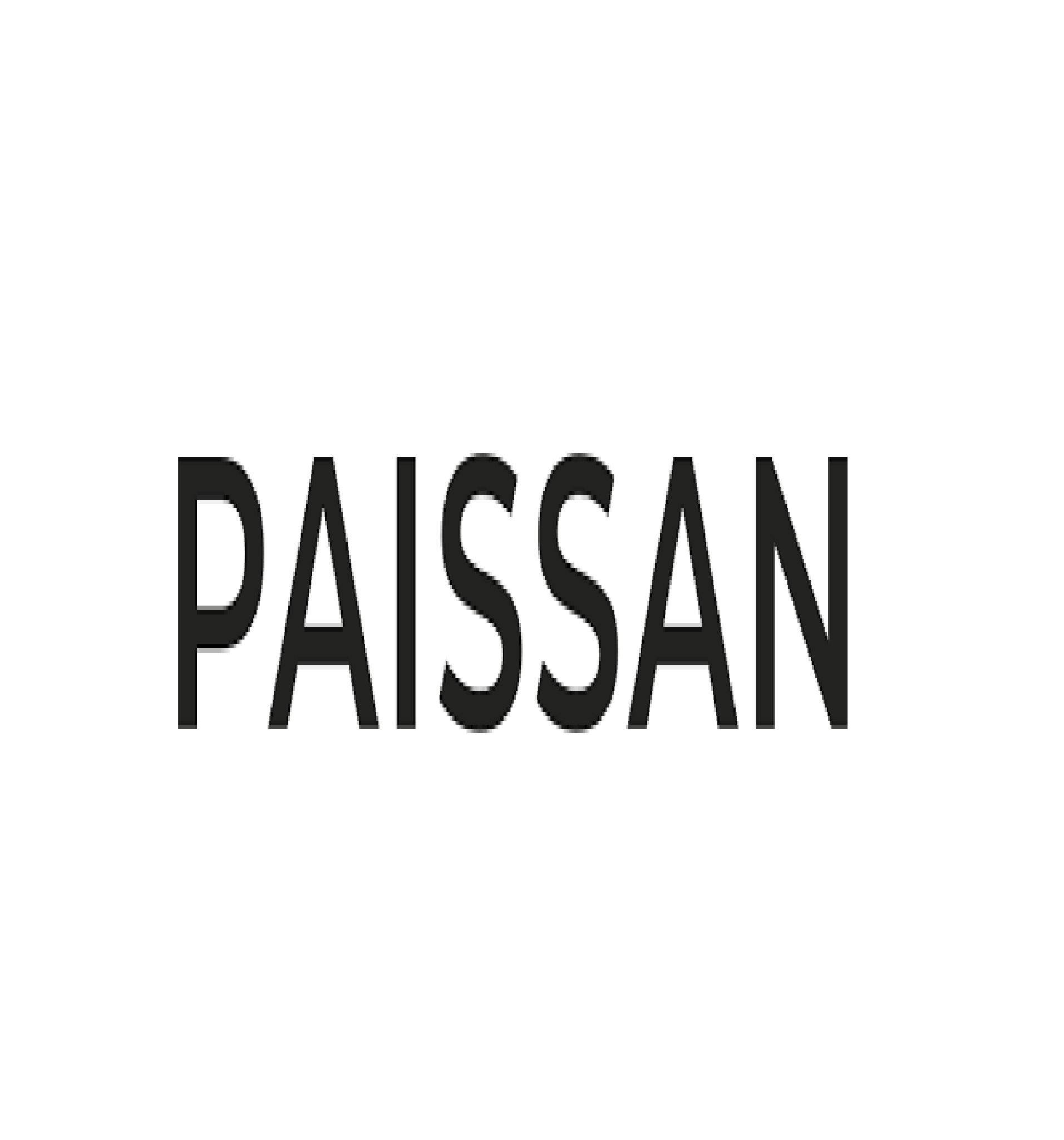 Paissan & Partners GmbH