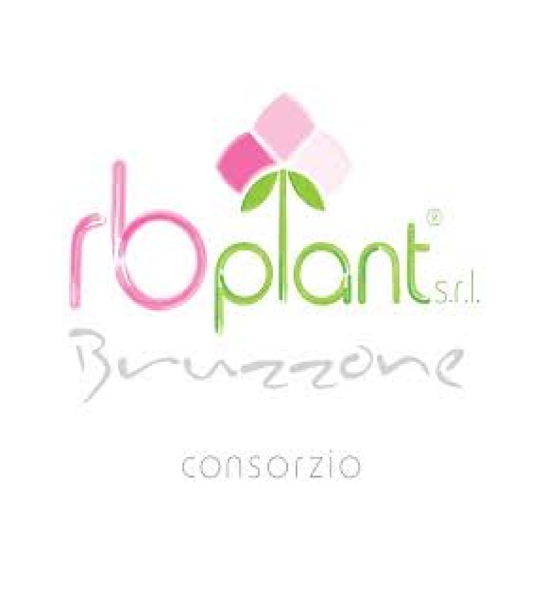 RB Plant srl
