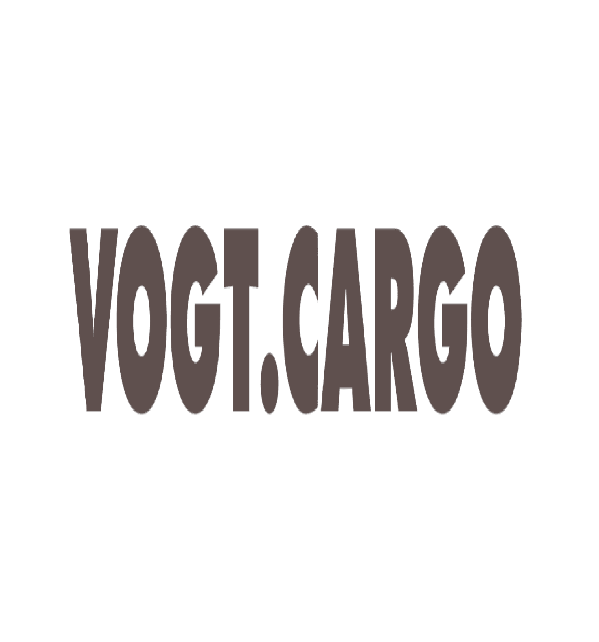 Vogt Cargo AG
