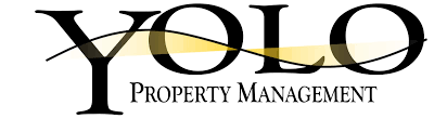 Yolo Management